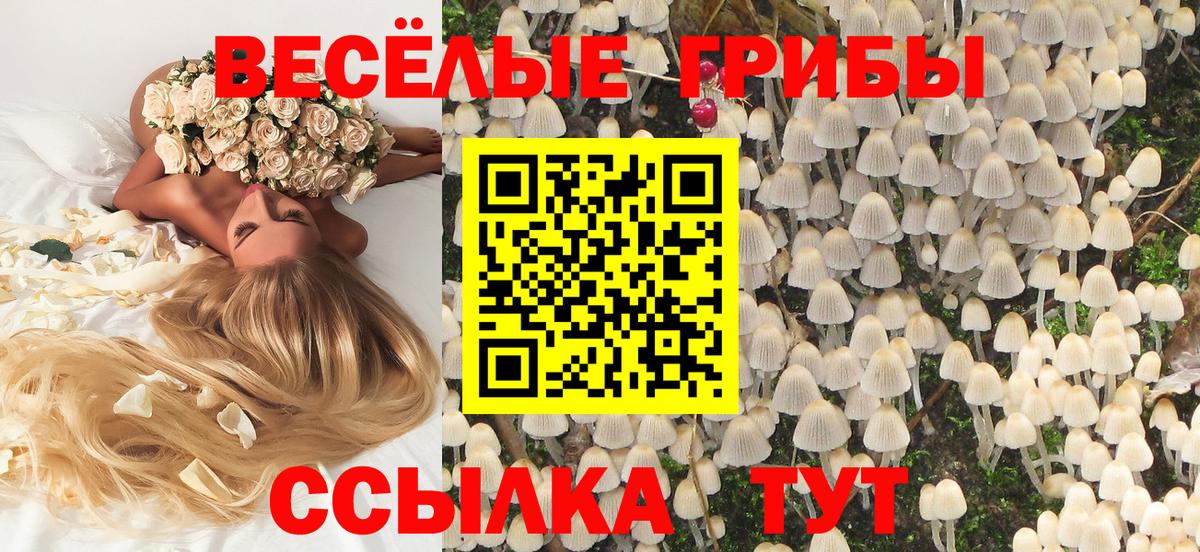 Галлюциногенные грибы MAGIC MUSHROOMS  Вход с VPN  Кинель 